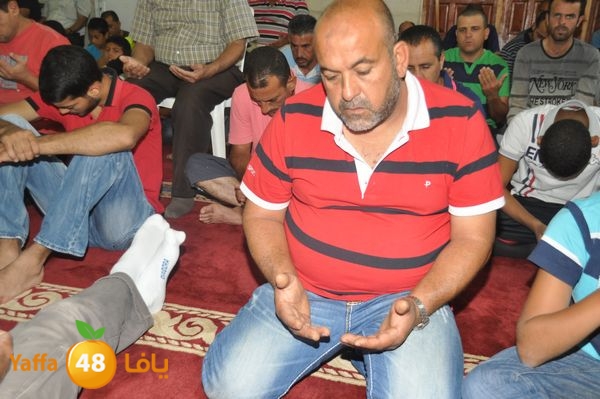 bazsalah lud 712 (23).JPG